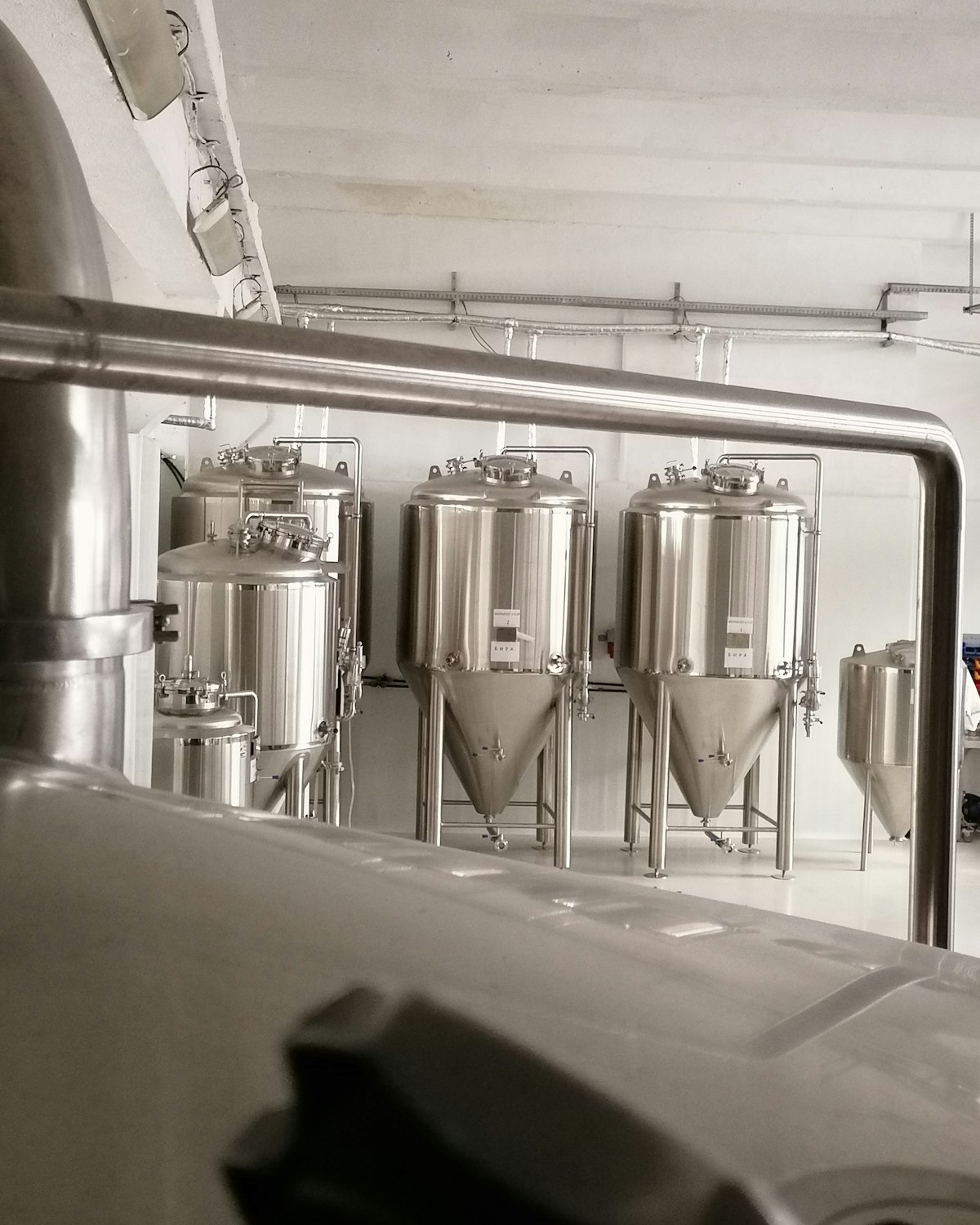 Fermentation tanks lined up in the brewery